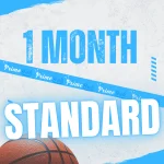 IPTV Subscription 1 months Standard