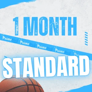 IPTV Subscription 1 months Standard