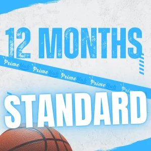 IPTV Subscription 12 months Standard