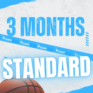 IPTV Subscription 3 months Standard